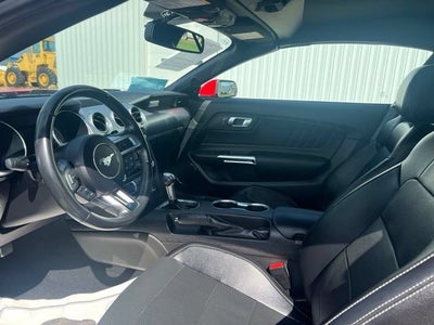 2019 Ford Mustang EcoBoost
