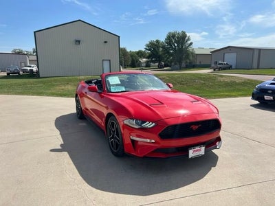 2019 Ford Mustang EcoBoost