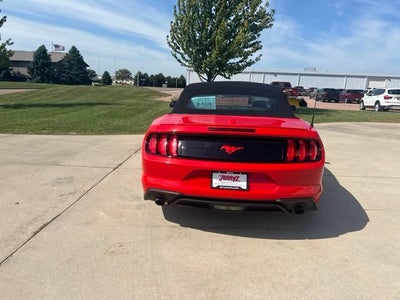 2019 Ford Mustang EcoBoost