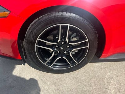 2019 Ford Mustang EcoBoost
