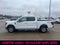 2024 Ford F-150 XLT 5 1/2 Ft Box