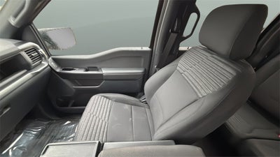 2023 Ford F-150 XL STX